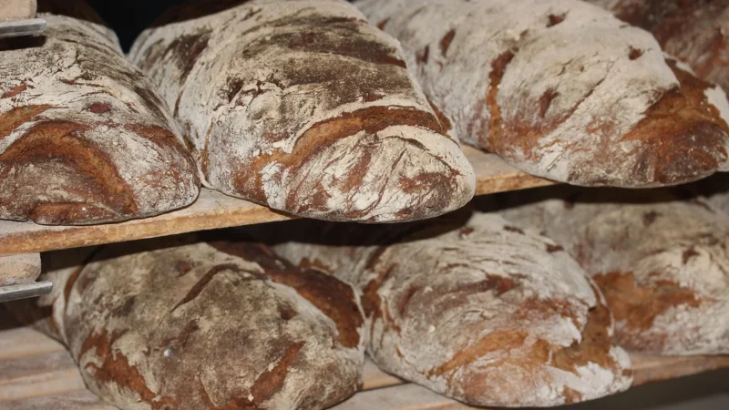 Producent pieczywa: jak znaleźć partnera dla rozwoju piekarni